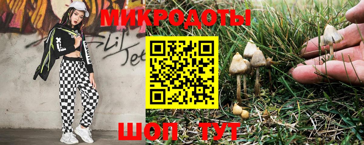 Псилоцибиновые грибы Psilocybine cubensis Елизово